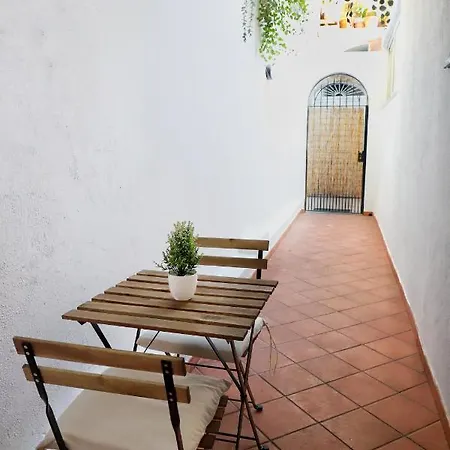 Appartamento Panoramico La Rosa Dei Venti - Maestrale Ischia Exterior photo